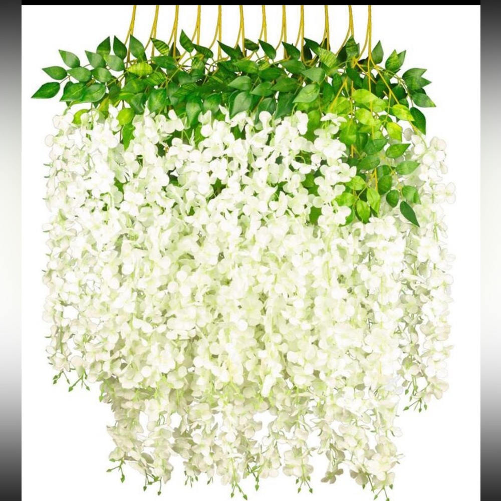 White wisteria hanging flowers